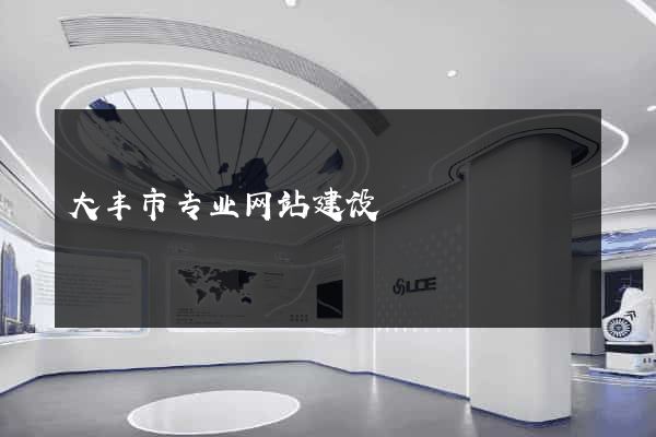 大丰市专业网站建设