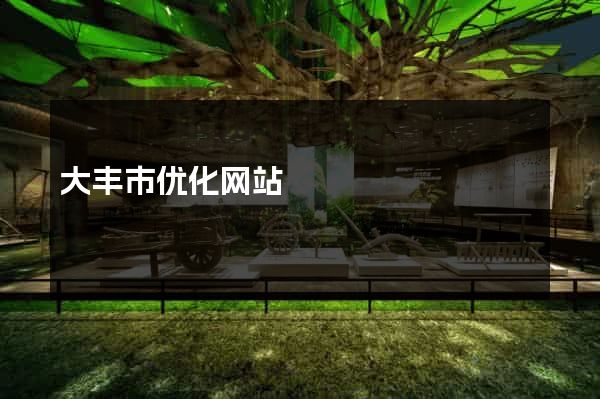 大丰市优化网站
