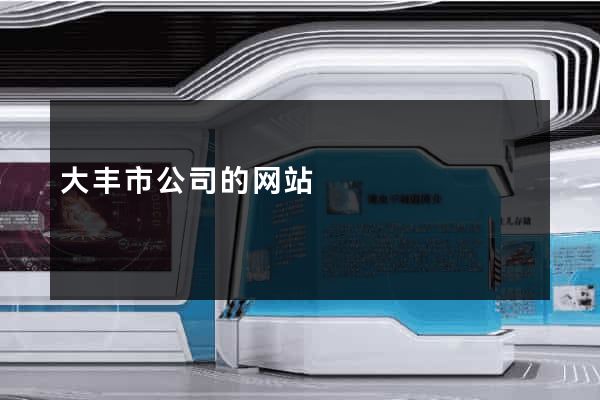 大丰市公司的网站