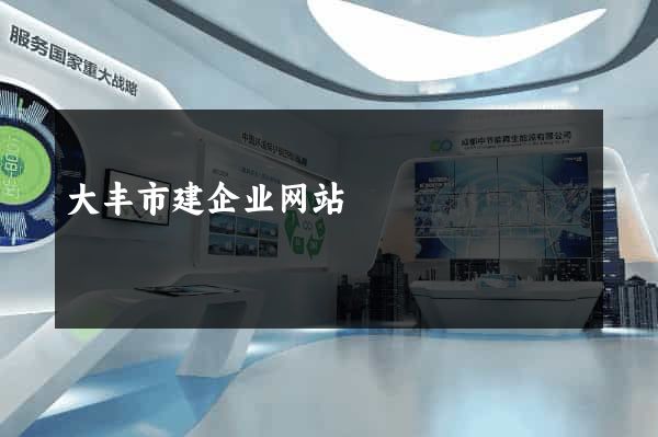 大丰市建企业网站