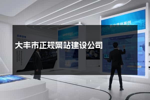 大丰市正规网站建设公司