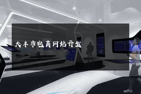 大丰市电商网站开发