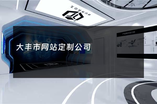大丰市网站定制公司