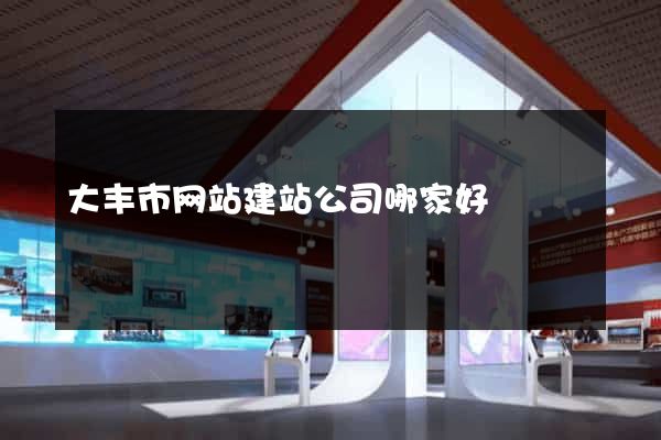 大丰市网站建站公司哪家好
