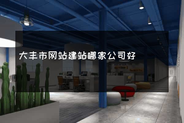 大丰市网站建站哪家公司好