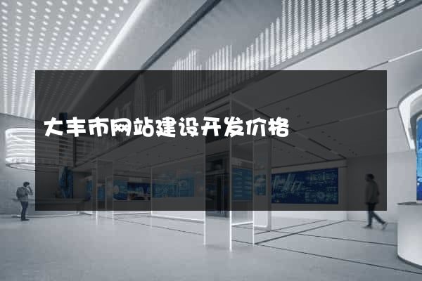 大丰市网站建设开发价格