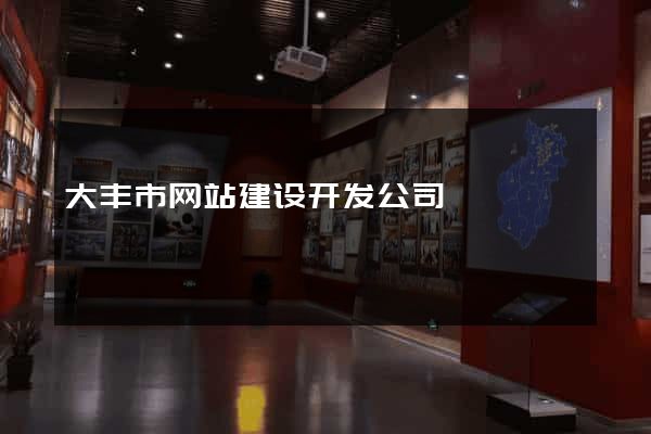 大丰市网站建设开发公司
