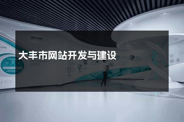大丰市网站开发与建设