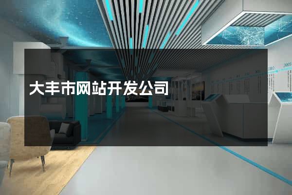 大丰市网站开发公司