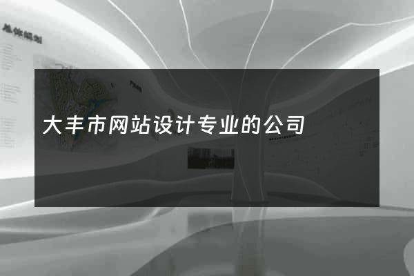 大丰市网站设计专业的公司