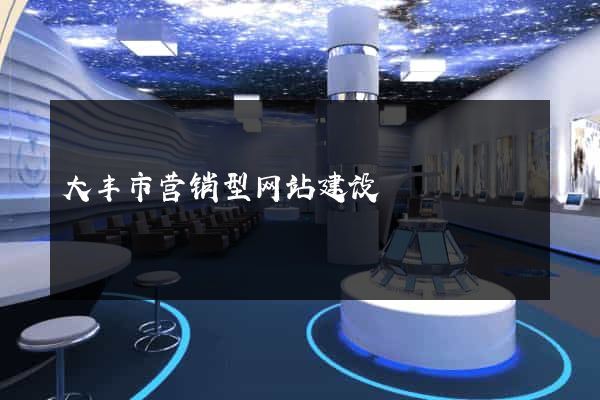大丰市营销型网站建设