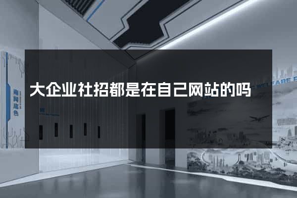 大企业社招都是在自己网站的吗