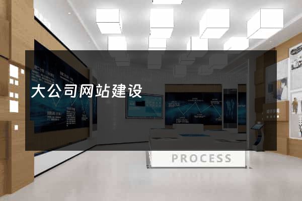 大公司网站建设