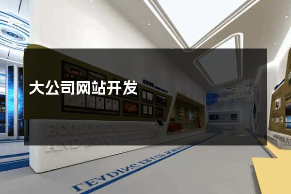 大公司网站开发