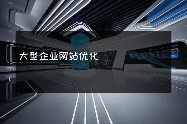 大型企业网站优化