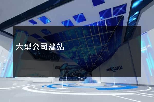 大型公司建站