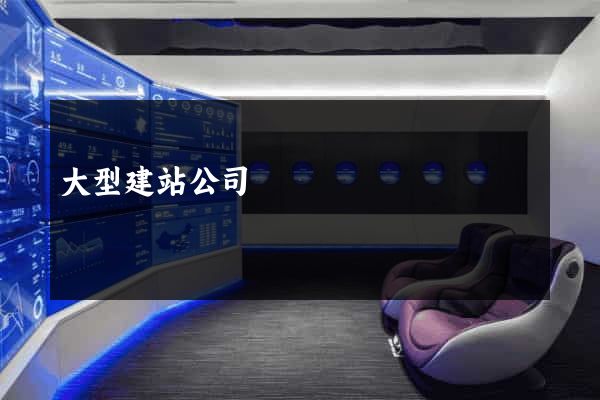 大型建站公司