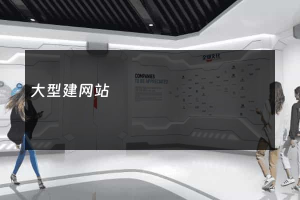 大型建网站