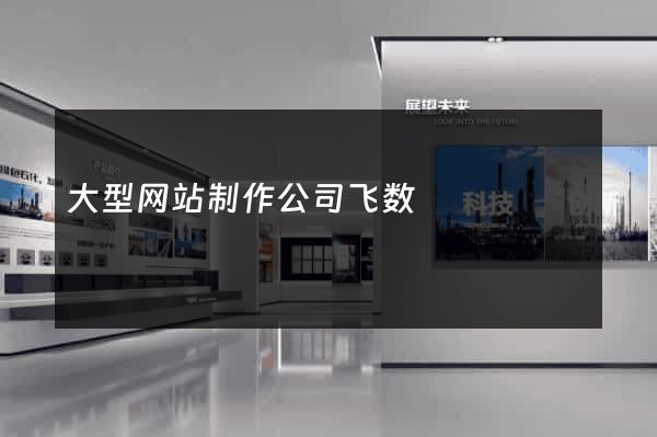 大型网站制作公司飞数