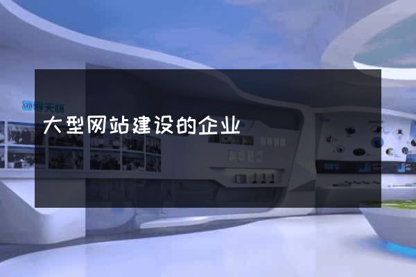 大型网站建设的企业