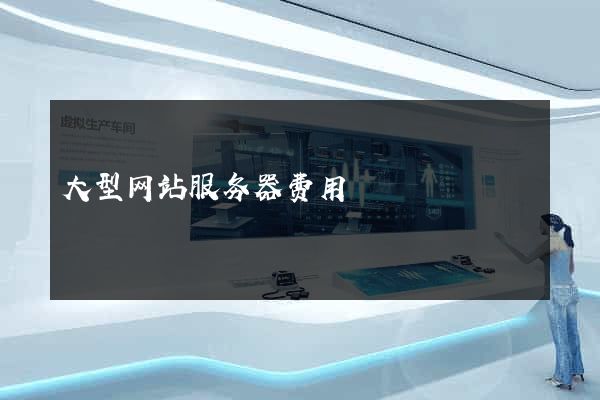 大型网站服务器费用