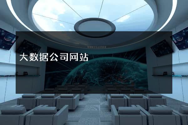 大数据公司网站