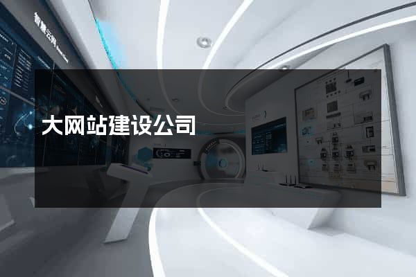 大网站建设公司