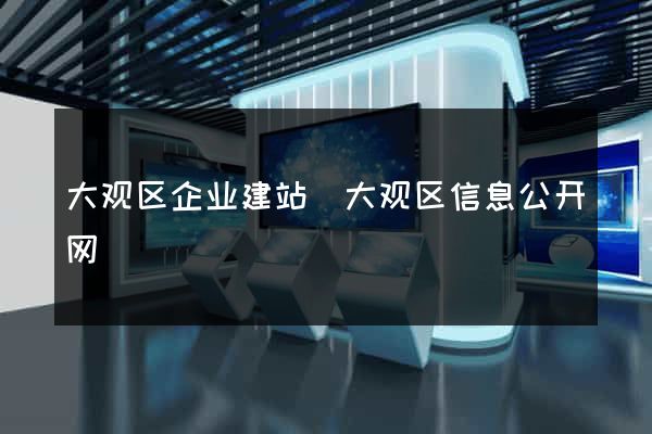 大观区企业建站(大观区信息公开网)