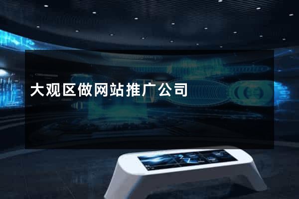 大观区做网站推广公司
