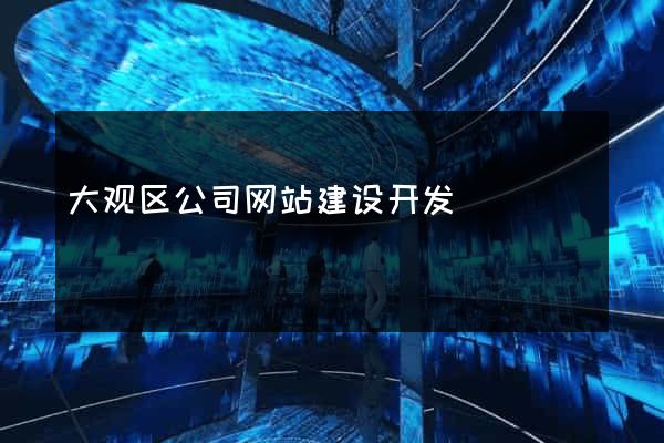 大观区公司网站建设开发