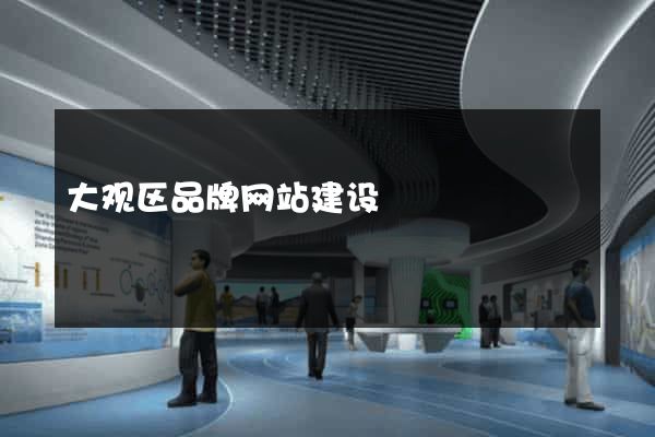 大观区品牌网站建设
