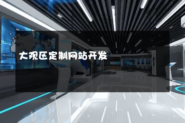 大观区定制网站开发
