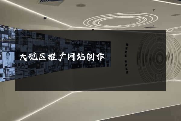 大观区推广网站制作