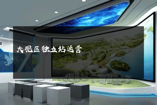 大观区独立站运营