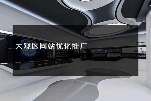 大观区网站优化推广