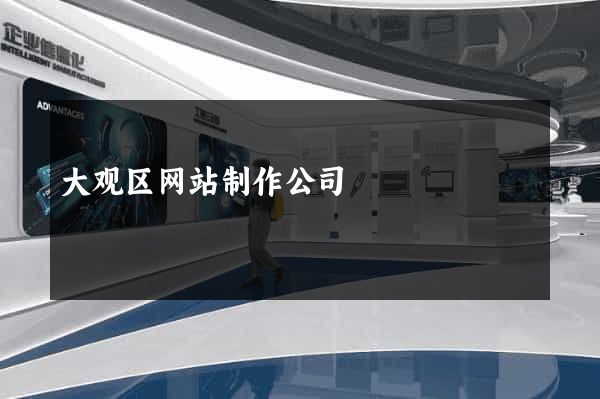大观区网站制作公司