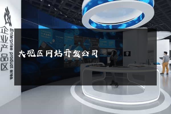 大观区网站开发公司