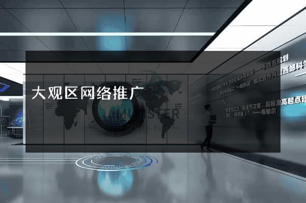 大观区网络推广