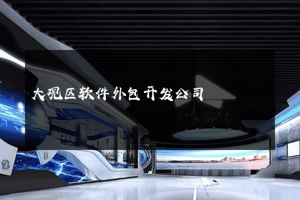 大观区软件外包开发公司