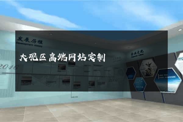大观区高端网站定制