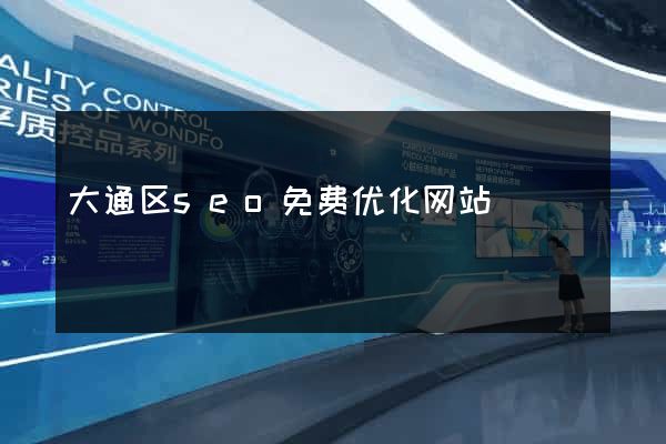 大通区seo免费优化网站