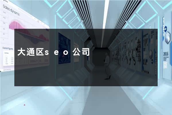 大通区seo公司
