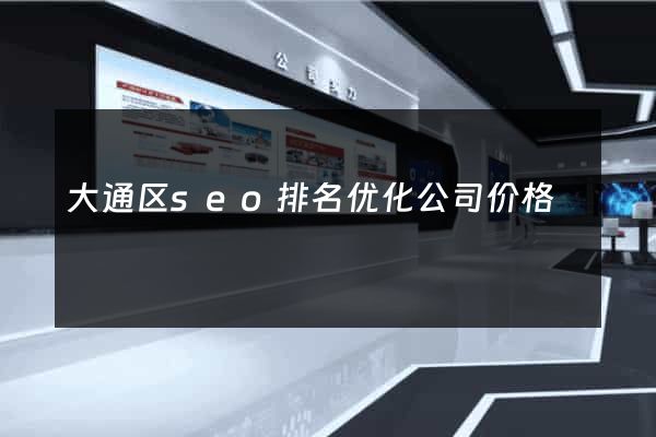 大通区seo排名优化公司价格