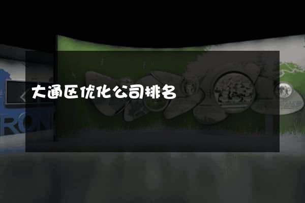大通区优化公司排名