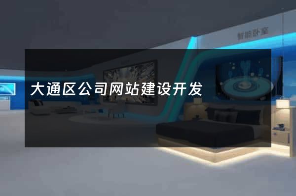 大通区公司网站建设开发