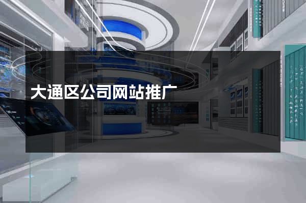 大通区公司网站推广