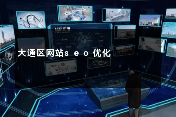 大通区网站seo优化