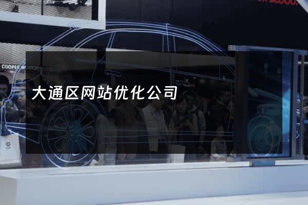 大通区网站优化公司