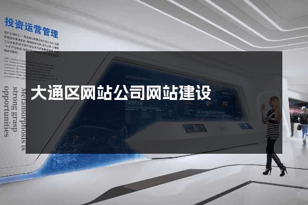 大通区网站公司网站建设
