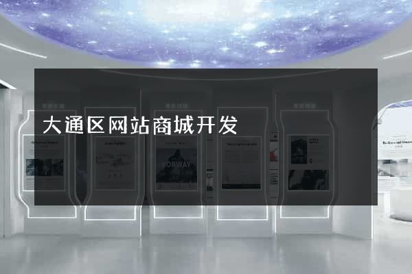 大通区网站商城开发